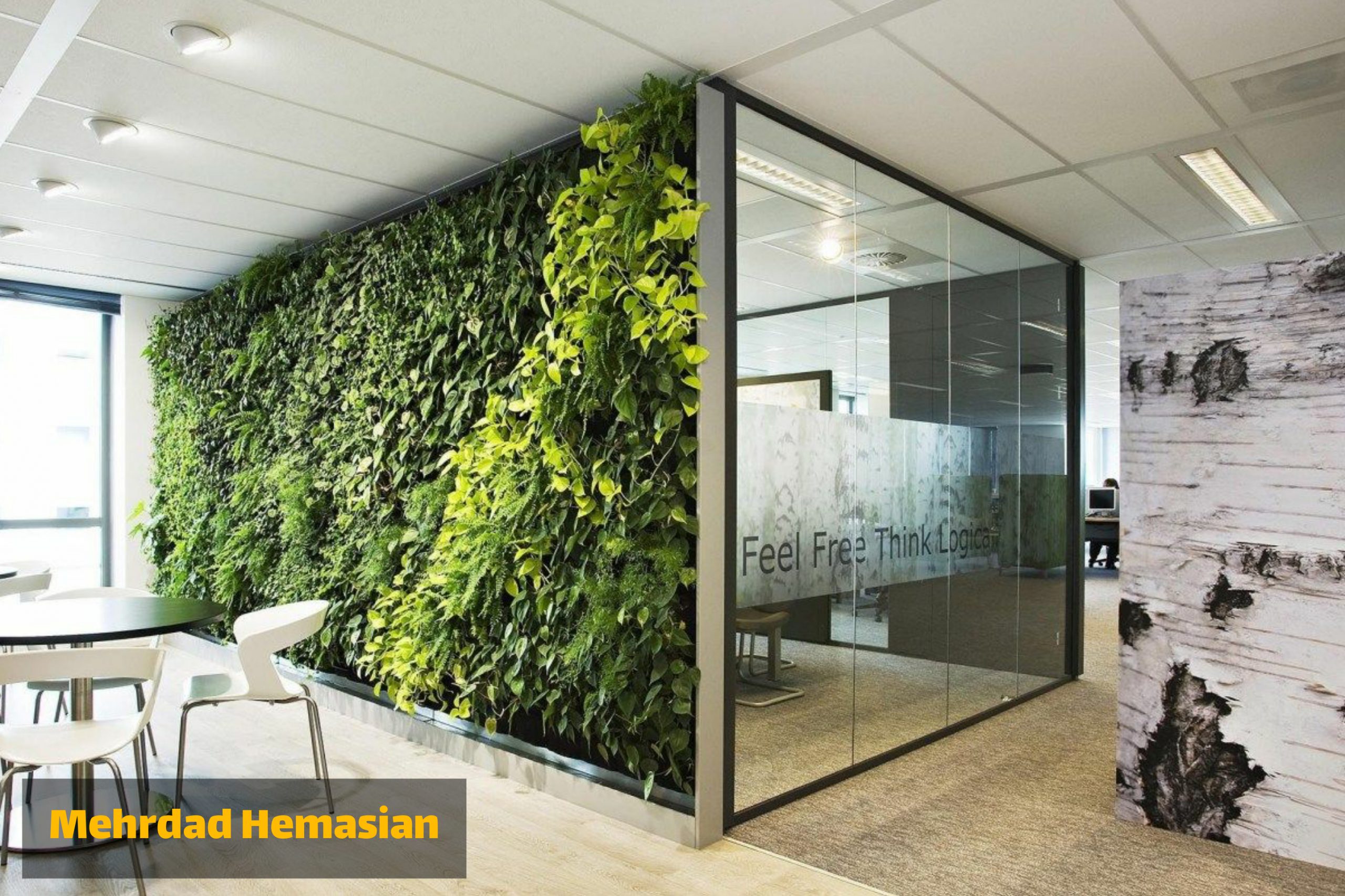Have some greenery for the interior decoration of the office